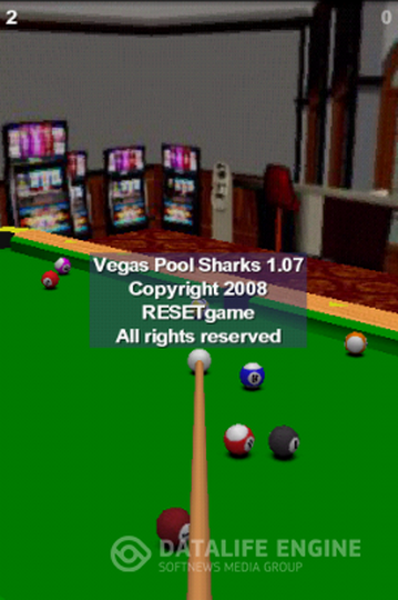 Vegas Pool Sharks