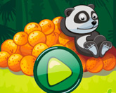 Панда и апельсины